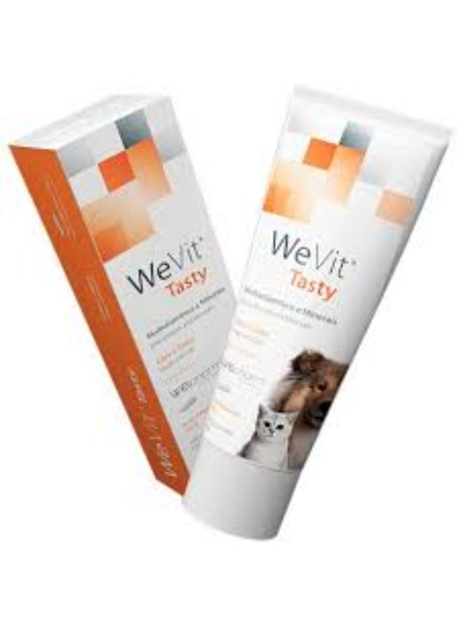 WePharm WeVit Tasty Multivitamin & Minerals Paste, Appetite Stimulant & Nutritional Support  for Dogs & Cats 100 g - Image 2